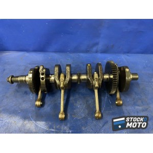Vilebrequin avec bielles 