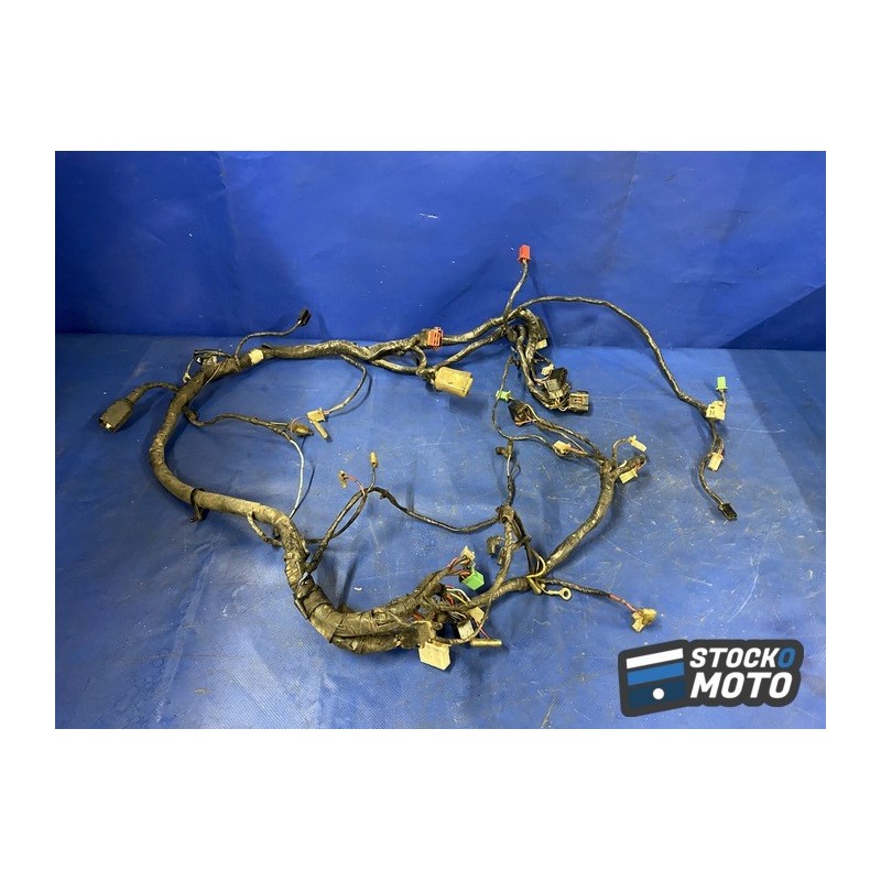 Faisceau électrique principale 