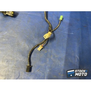 Faisceau électrique principale 