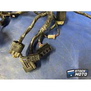 Faisceau électrique principale 