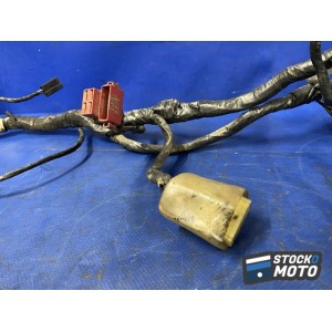 Faisceau électrique principale 