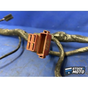 Faisceau électrique principale 