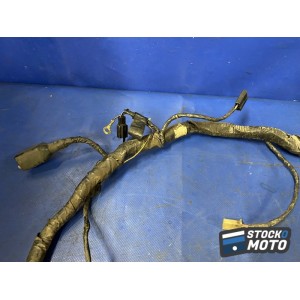 Faisceau électrique principale 