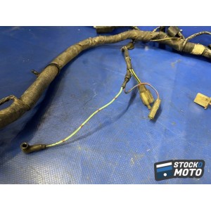 Faisceau électrique principale 