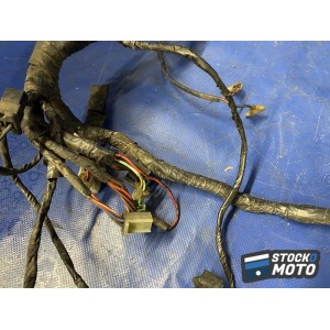 Faisceau électrique principale 