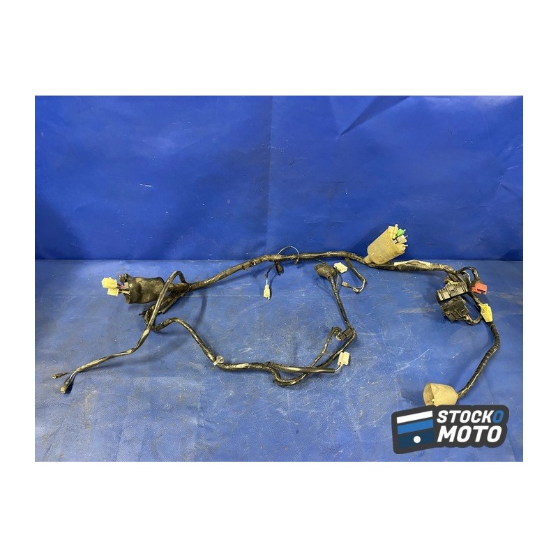 Faisceau électrique principale 