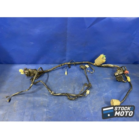 Faisceau électrique principale 