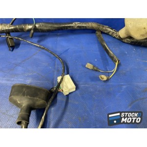 Faisceau électrique principale 