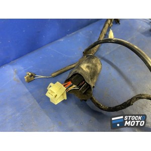 Faisceau électrique principale 