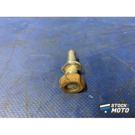 Vis n°1 de porte couronne 