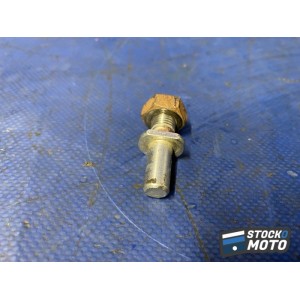 Vis n°1 de porte couronne 