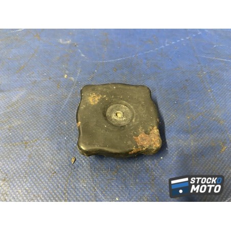 Bouchon de radiateur 