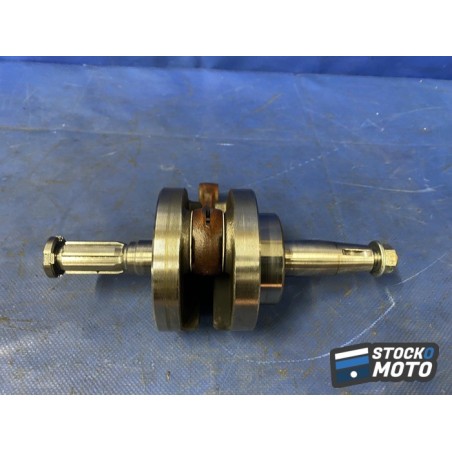 Vilebrequin avec bielle 