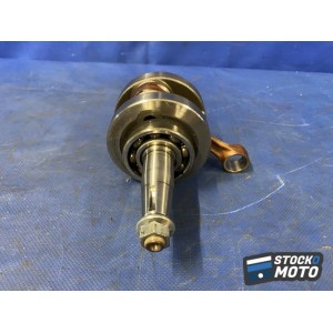 Vilebrequin avec bielle 