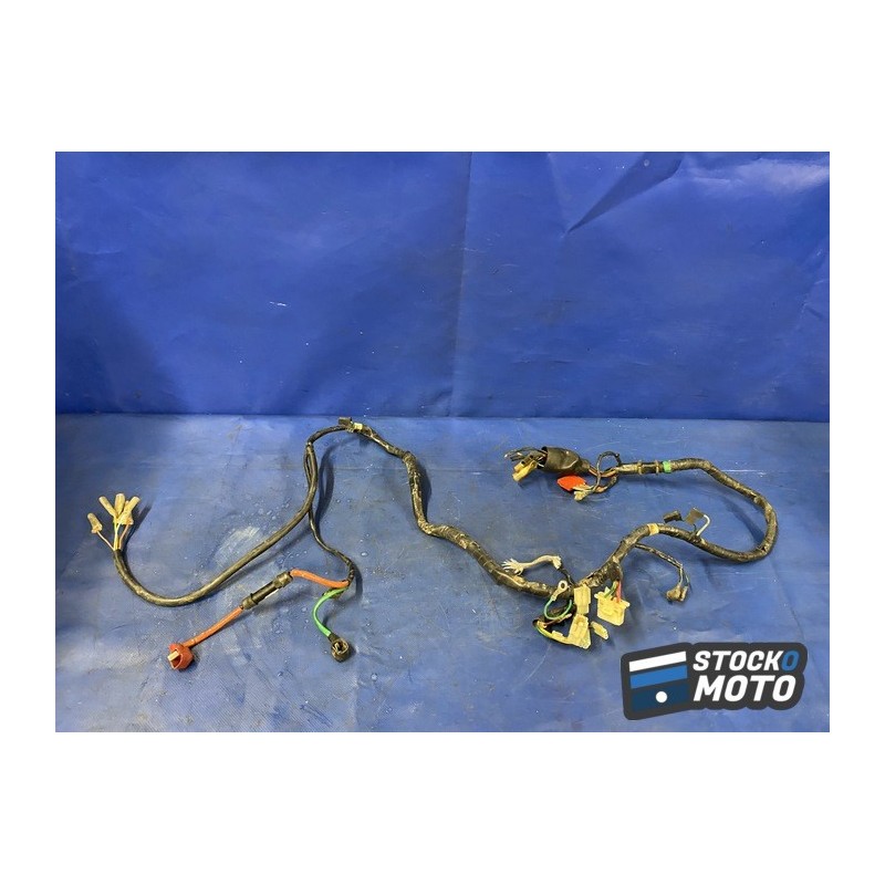 Faisceau éléctrique principal 