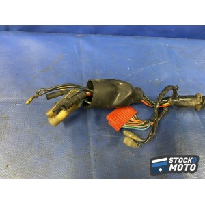 Faisceau éléctrique principal 