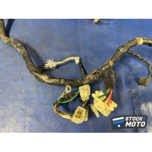 Faisceau éléctrique principal 