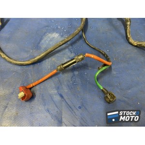 Faisceau éléctrique principal 