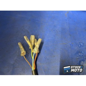 Faisceau éléctrique principal 