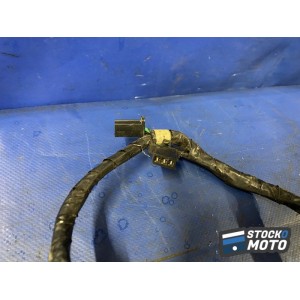 Faisceau éléctrique principal 