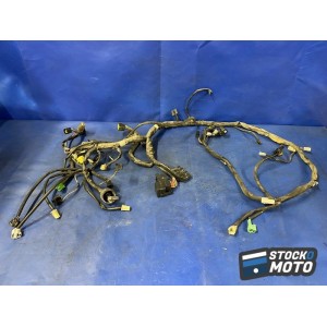 Faisceau électrique principal 