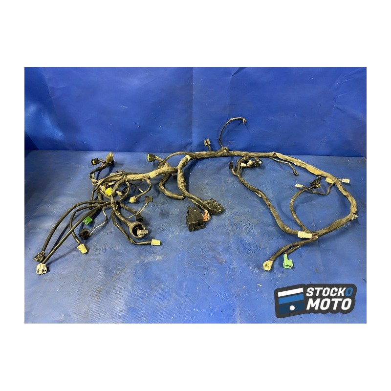 Faisceau électrique principal 