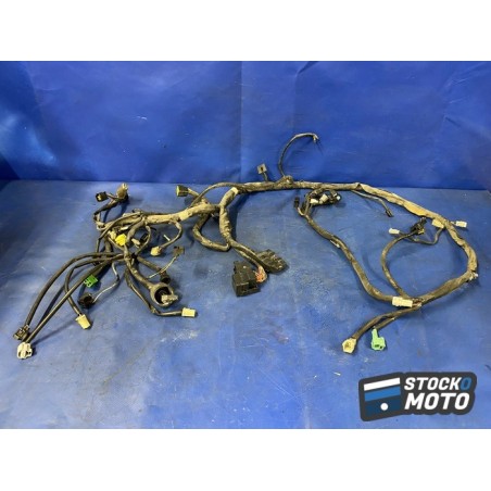 Faisceau électrique principal 