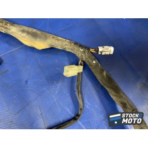 Faisceau électrique principal 