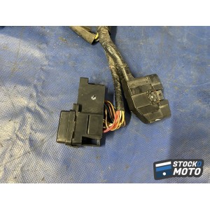 Faisceau électrique principal 