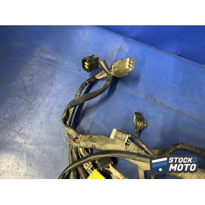 Faisceau électrique principal 