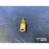 Sonde de température 