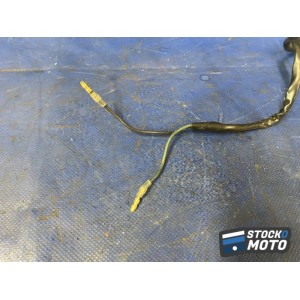 Clignotant avant droit 