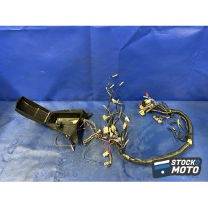 Faisceau électrique principale 