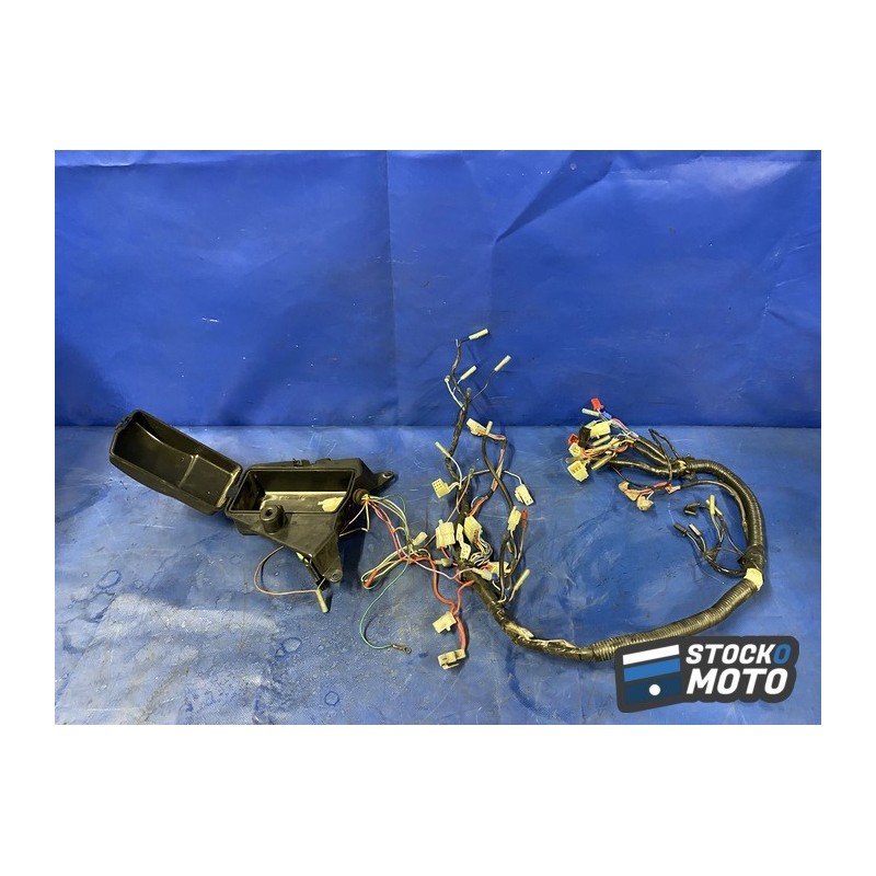 Faisceau électrique principale 