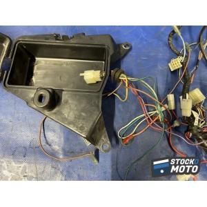 Faisceau électrique principale 