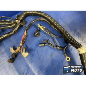 Faisceau électrique principale 