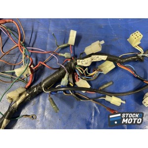 Faisceau électrique principale 