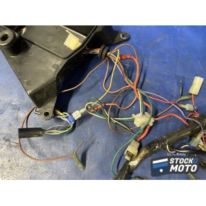 Faisceau électrique principale 