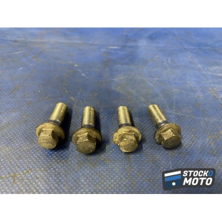 Vis d'étrier de frein avant 