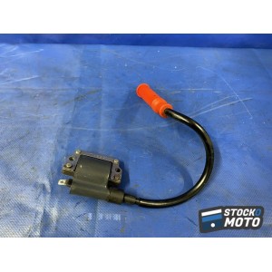 Bobine d'allumage arrière 