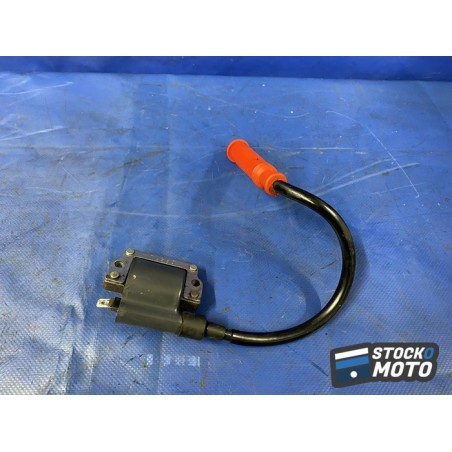 Bobine d'allumage arrière 