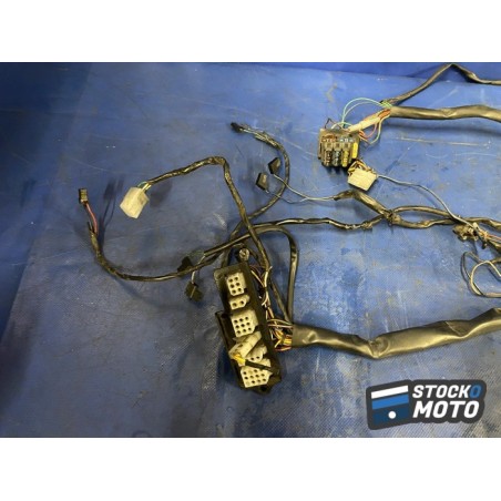 Faisceau électrique principal 