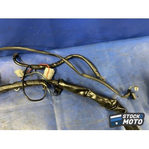 Faisceau électrique principal 