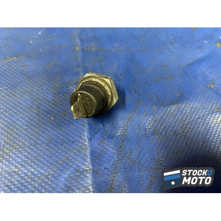 Sonde de température 