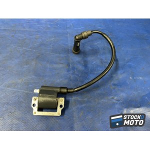 Bobine crayon d'allumage n°1 