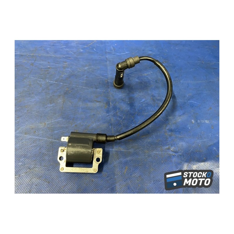 Bobine crayon d'allumage n°1 