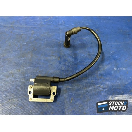 Bobine crayon d'allumage n°1 