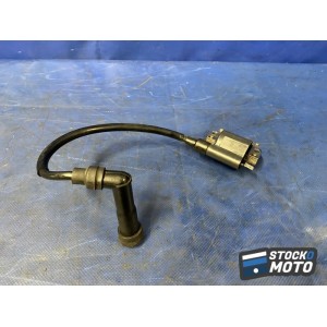 Bobine crayon d'allumage n°1 