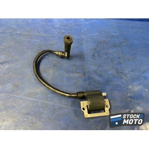 Bobine crayon d'allumage n°1 