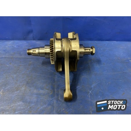 Vilebrequin avec bielles 